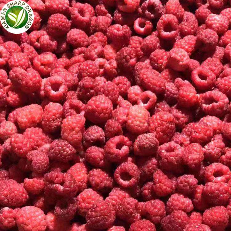 IQF raspberry new season whole berries for importers