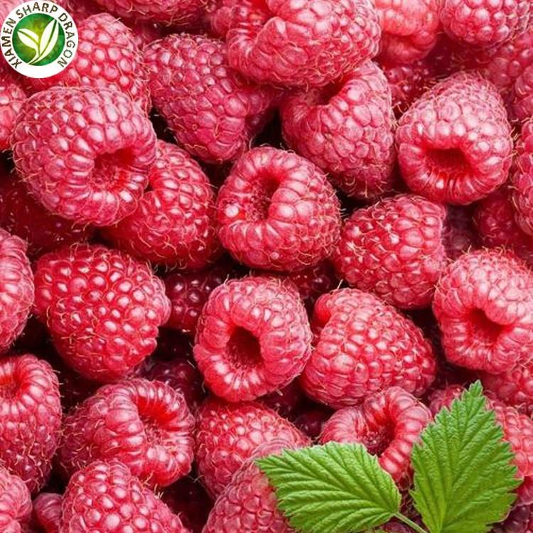 Frozen Raspberry Crop Lot frozen raspberry crop lot for export supply planning