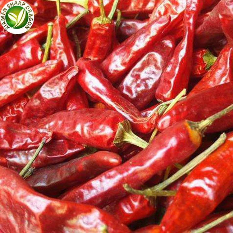 Spicy Dried Chili