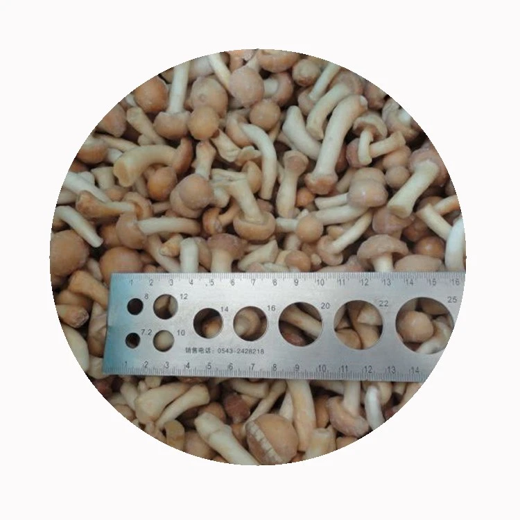 frozen-golden-nameko-mushrooms frozen-golden-nameko-mushrooms