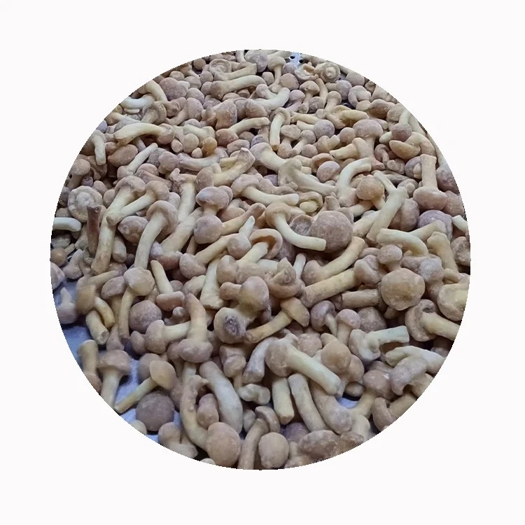 iqf-frozen-nameko-mushrooms iqf-frozen-nameko-mushrooms