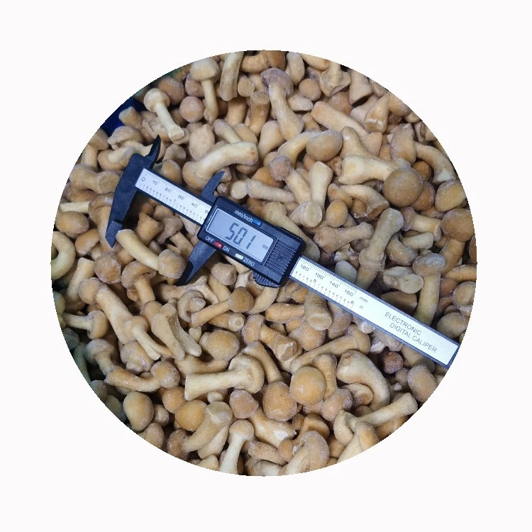 xmsdfood-frozen-nameko-export xmsdfood-frozen-nameko-export
