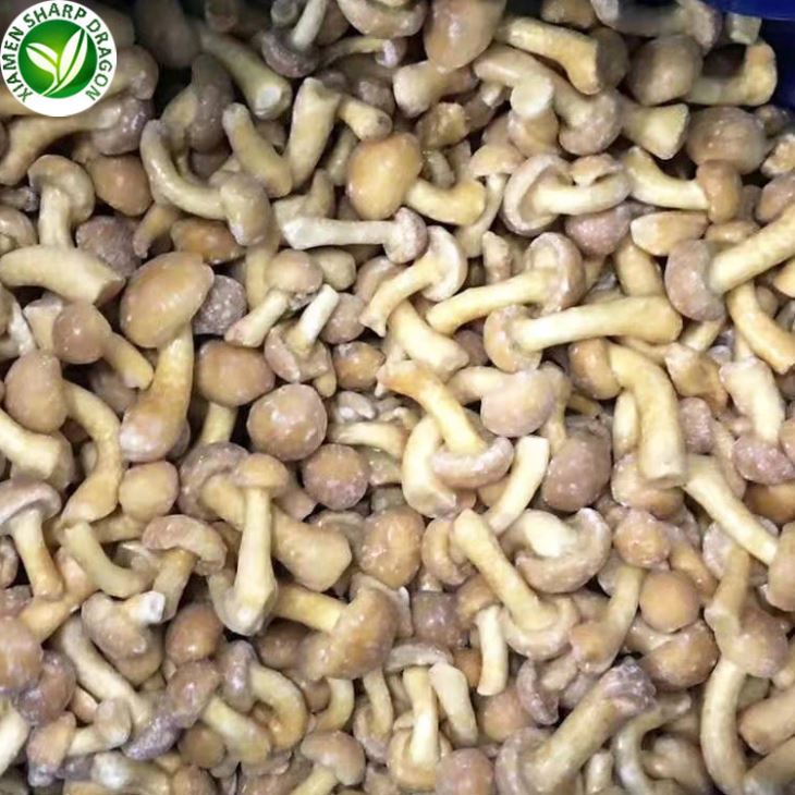 Soláthraí & Monaróir Muisiriún Reoite Nameko sa tSín