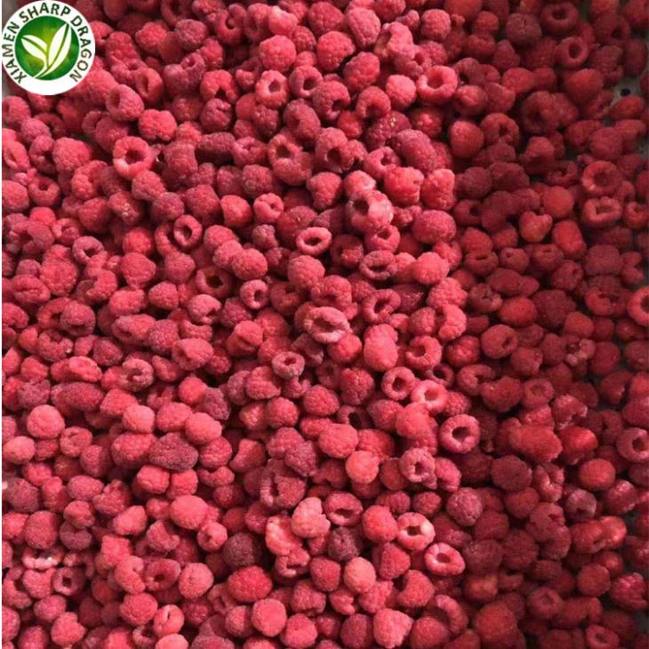 New Crop IQF Raspberry – July–September Supply Planning