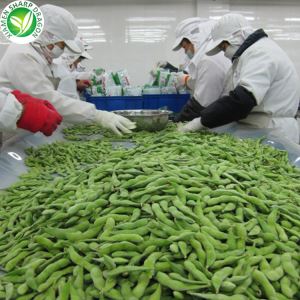 Pónairí Edamame na Síne