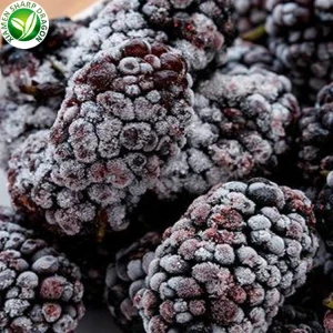 Praghas Mulberry Reoite