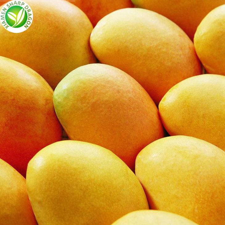 Praghas mango buí