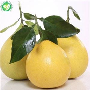 Soláthar Nua Grapefruit Séasúir