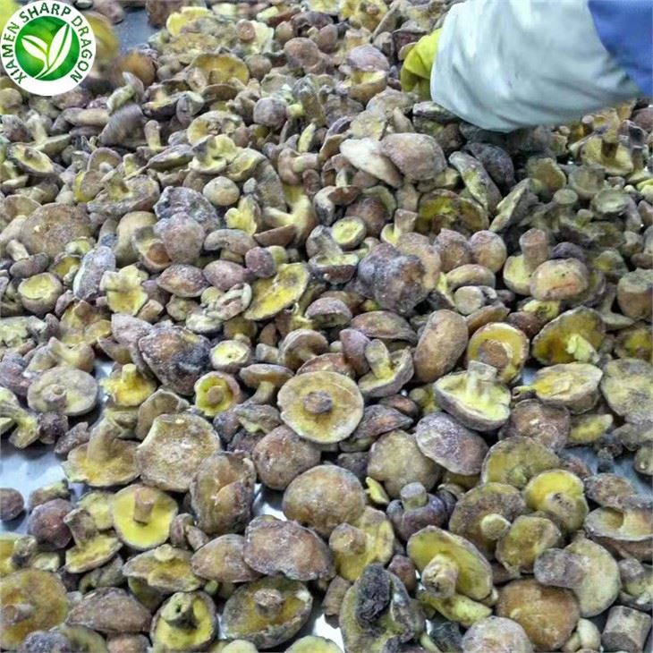 Mushroom Price Best Matsutake